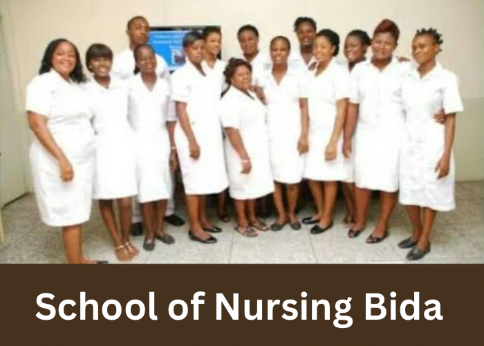 School of Nursing Bida