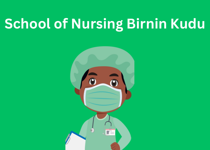 School of Nursing Birnin Kudu