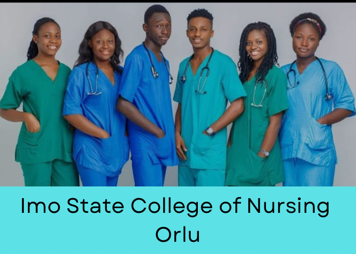 Imo State College of Nursing Orlu